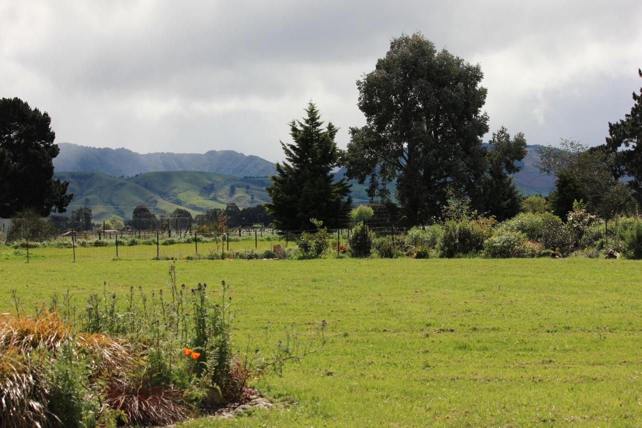 Luxury Container Cabin Masterton Exterior photo